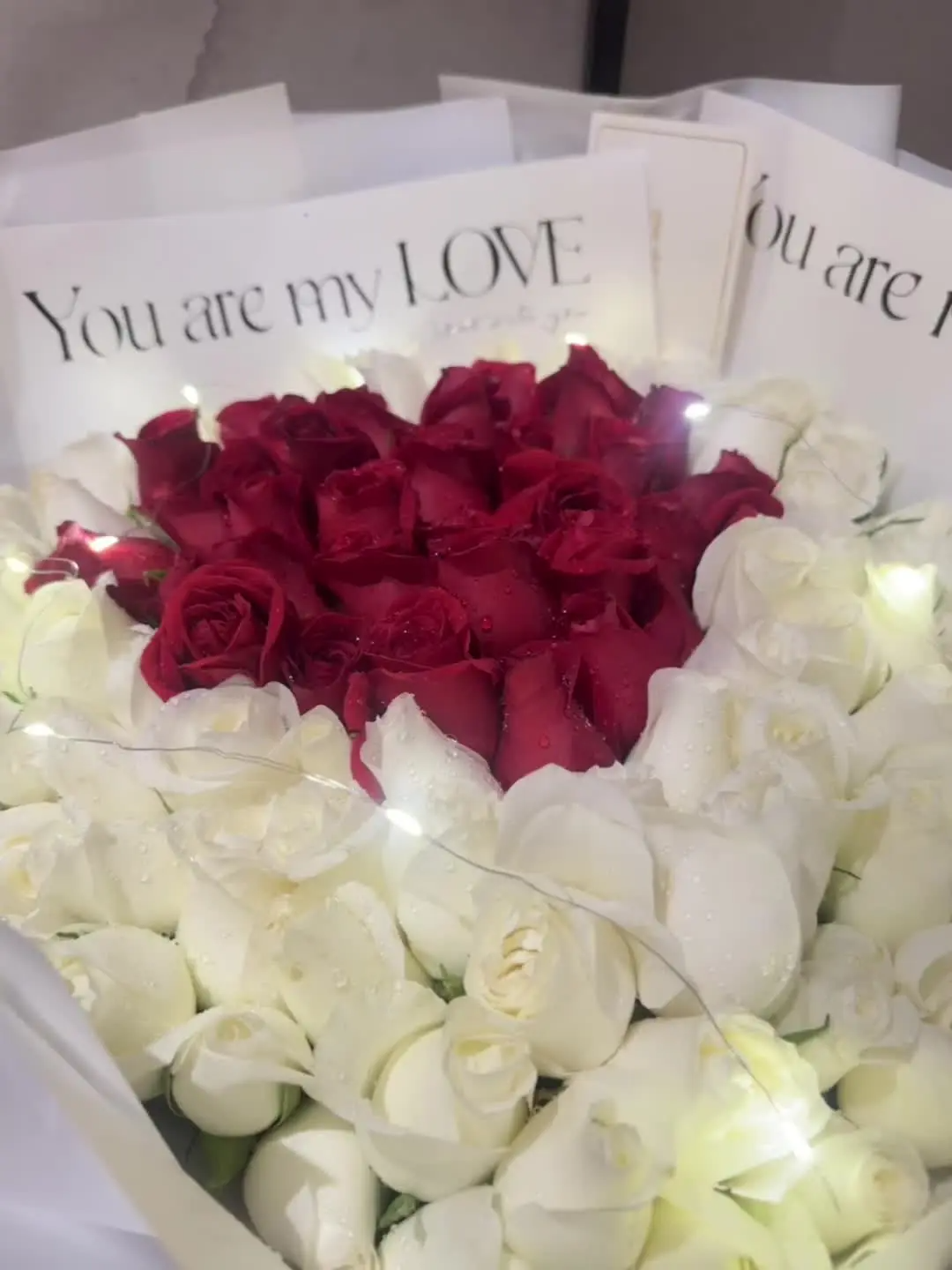 2025年10月31日-近一两个月的零碎图