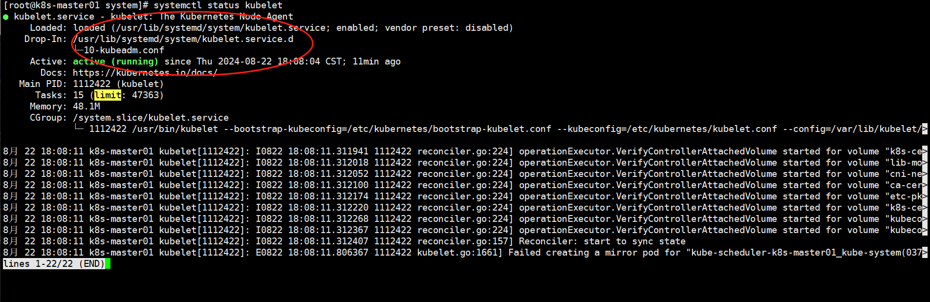 image-20240822182017696