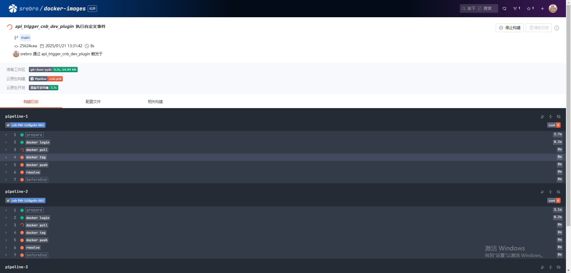 image-20250121133203919