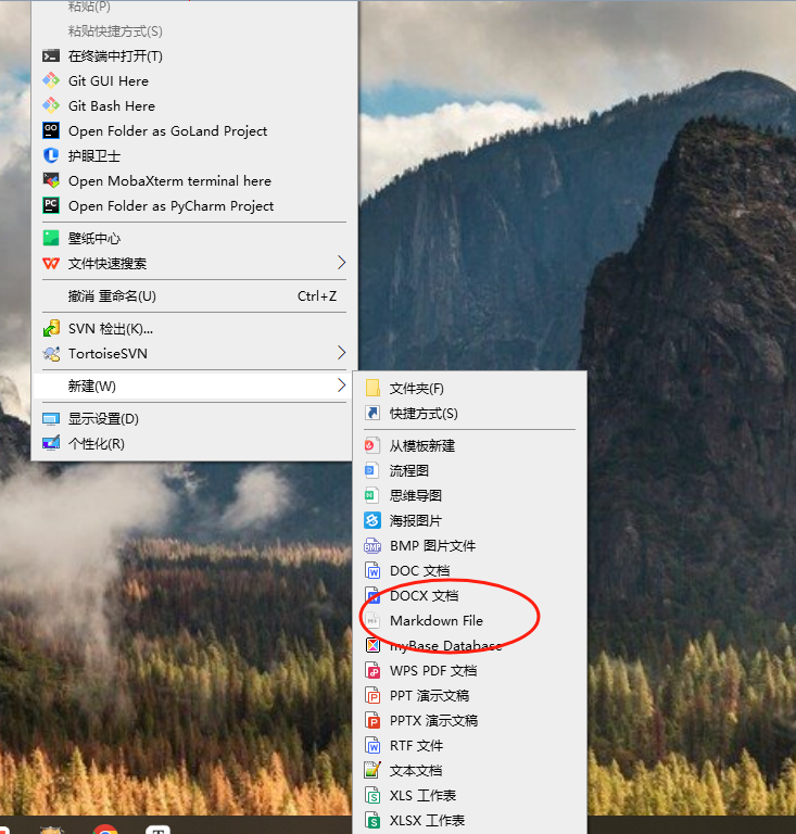 image-20250330105250628