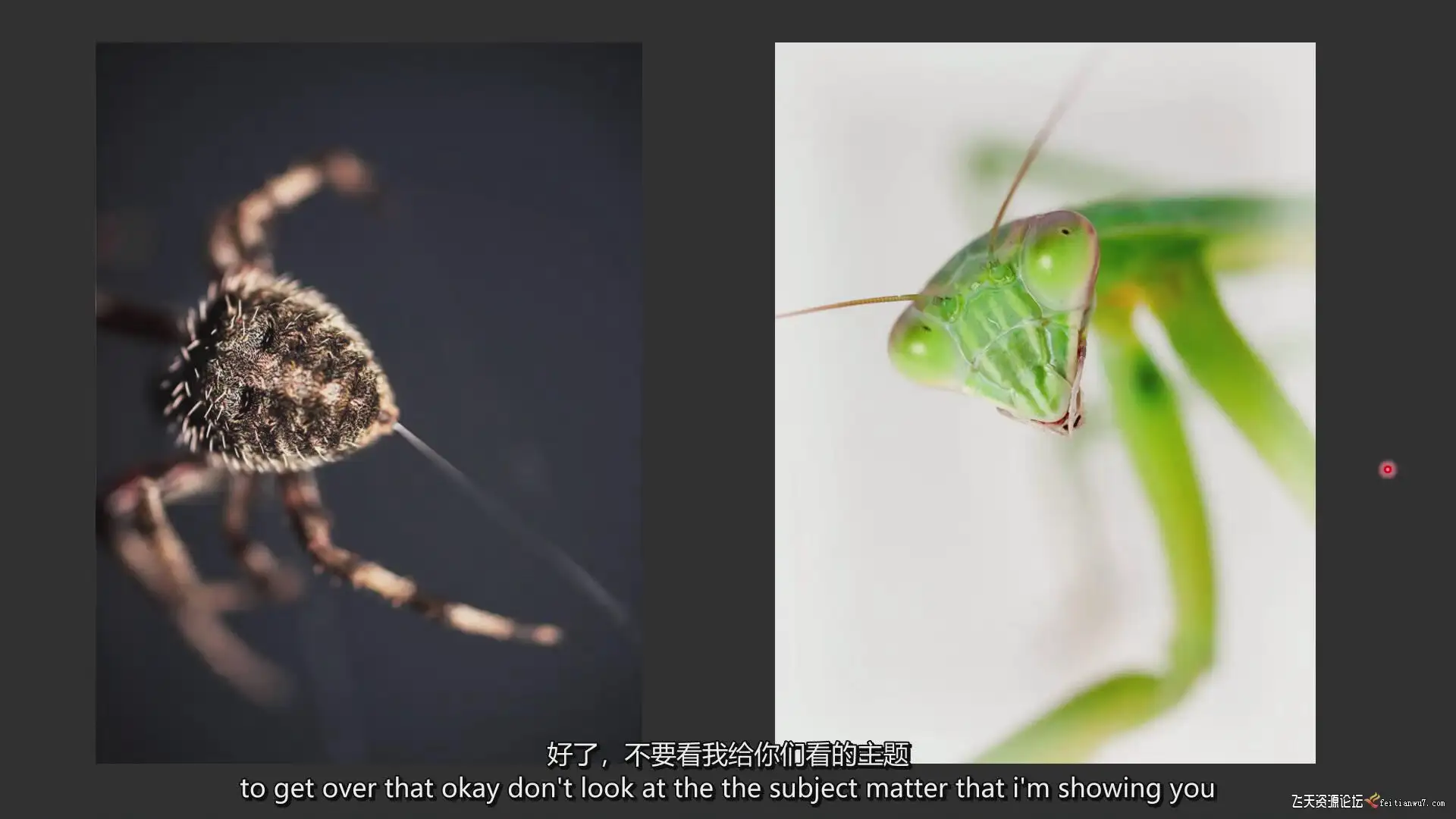 ed6d9c7c 9a13 4dbd b3e6 a85875942ab4