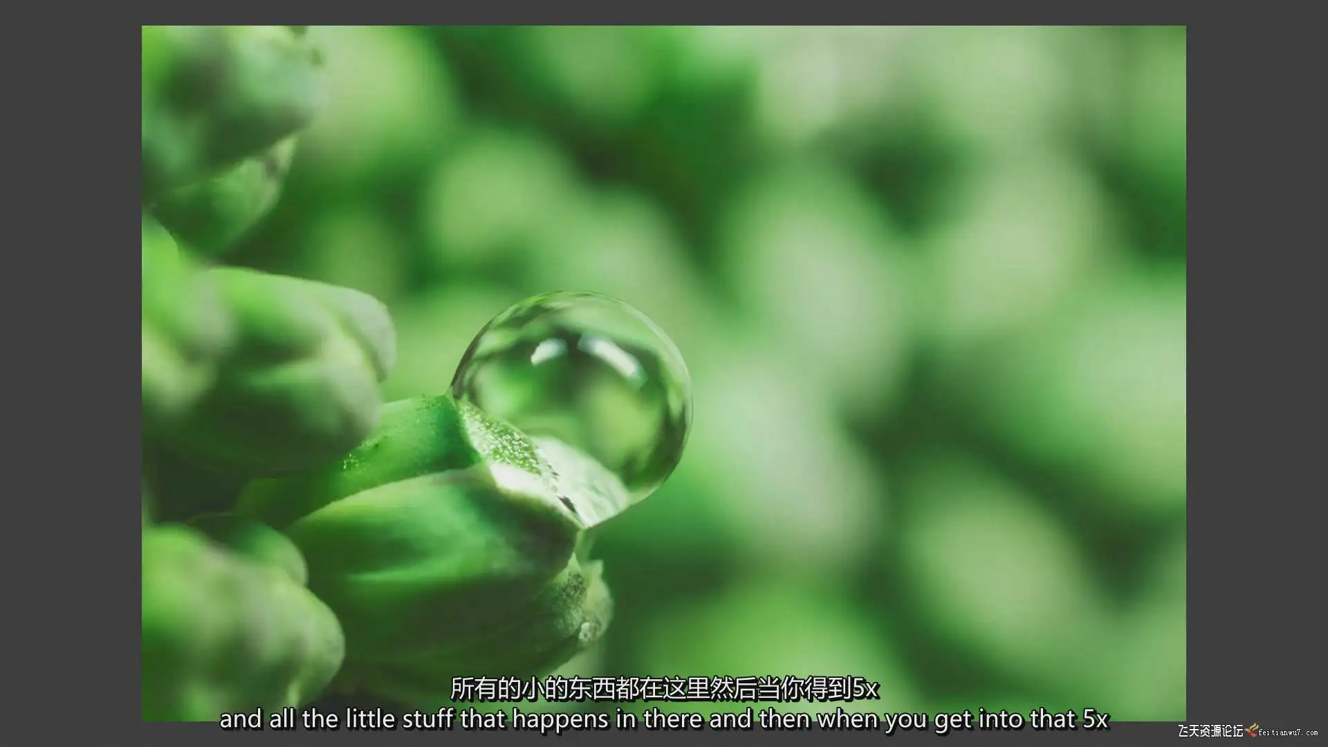 ac9dc04f 3faa 44ff 9e53 32ac64700e74