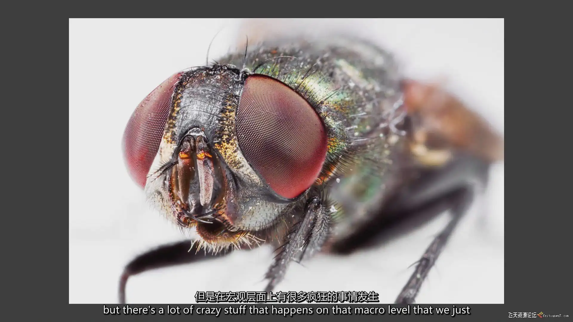 226907f3 d779 4e0f 89ba d71b54ed4309