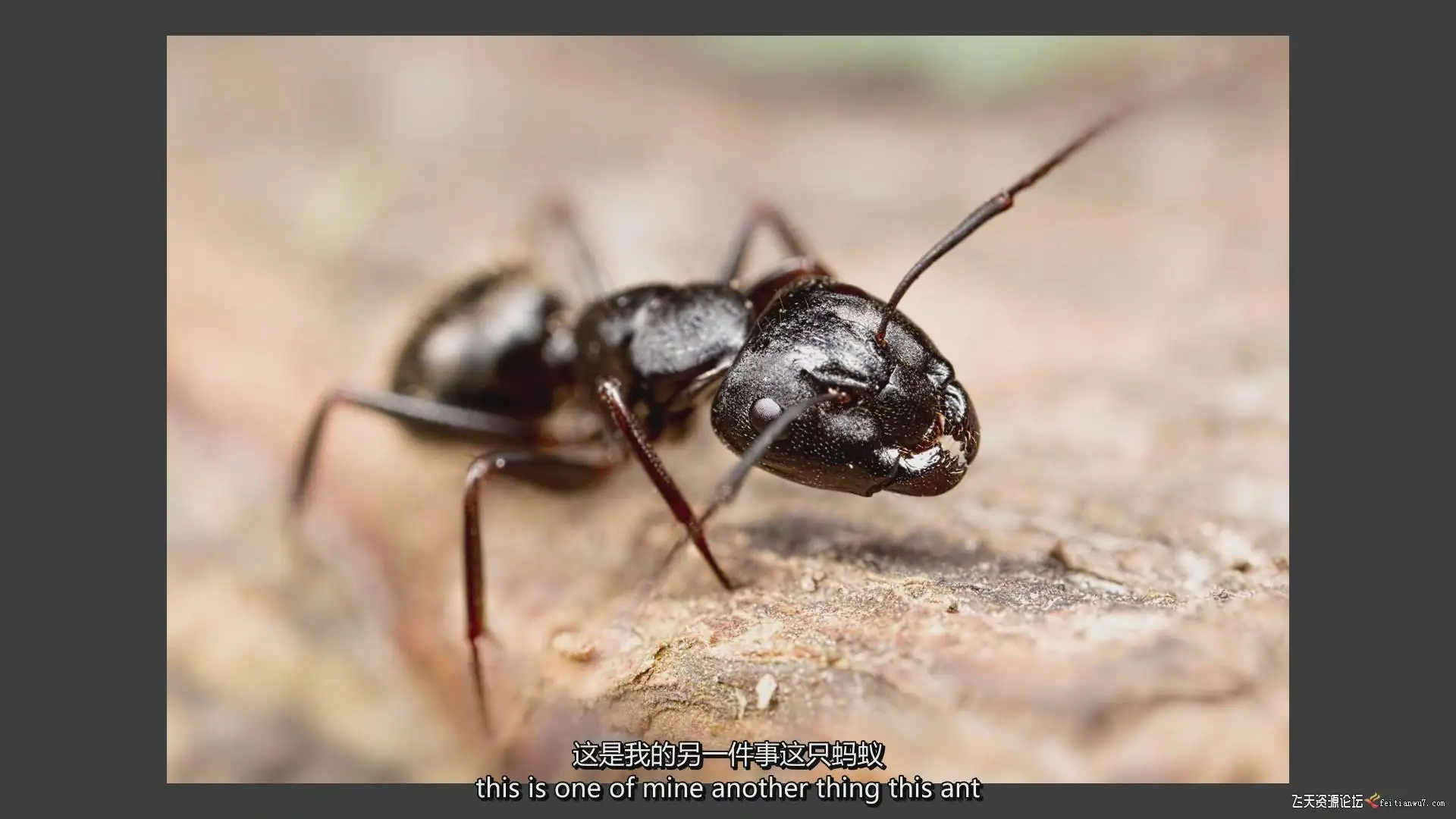 b0cf14fe 4985 4cd7 821c e6be7a87be62