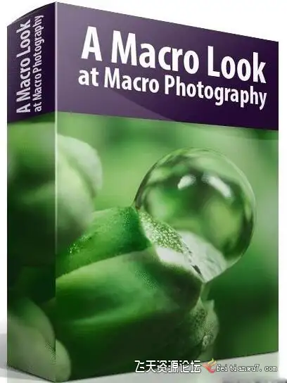 【中英字幕】宏观摄影微距摄影Blake Rudis A Macro Look at Macro Photography