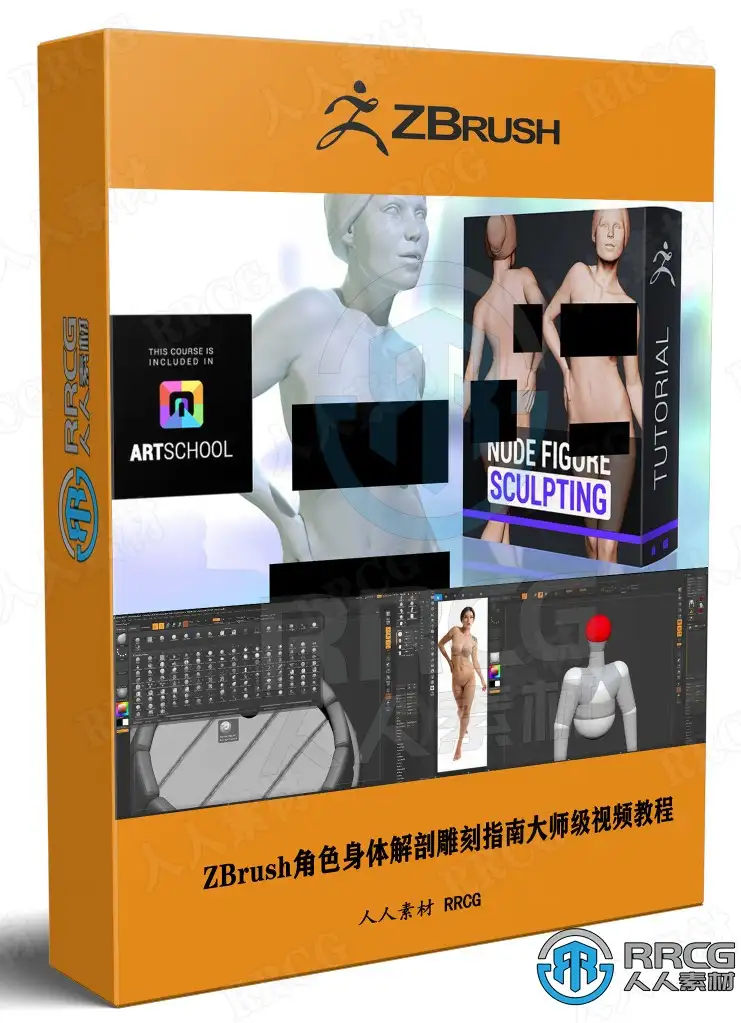 ZBrush角色身体解剖雕刻指南大师级视频教程