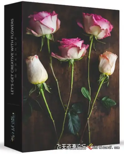 【中英字幕】摄影师Denise Love用自然光创造美丽玫瑰花卉静物产品摄影