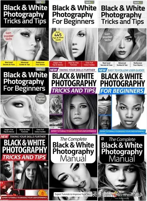 黑白摄影完整手册适合初学者-2020 年全年系列