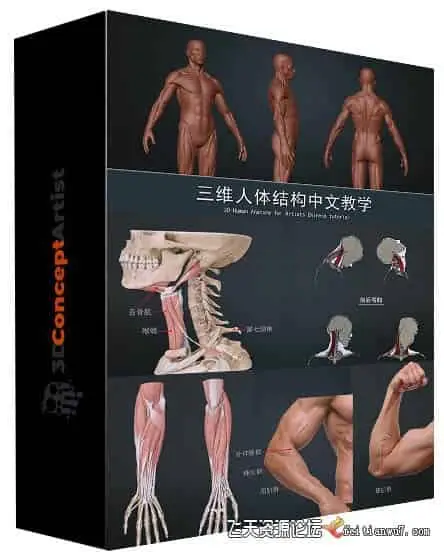 刘慧远三维人体雕刻角色模型从理论到Zbrush实战中文教学