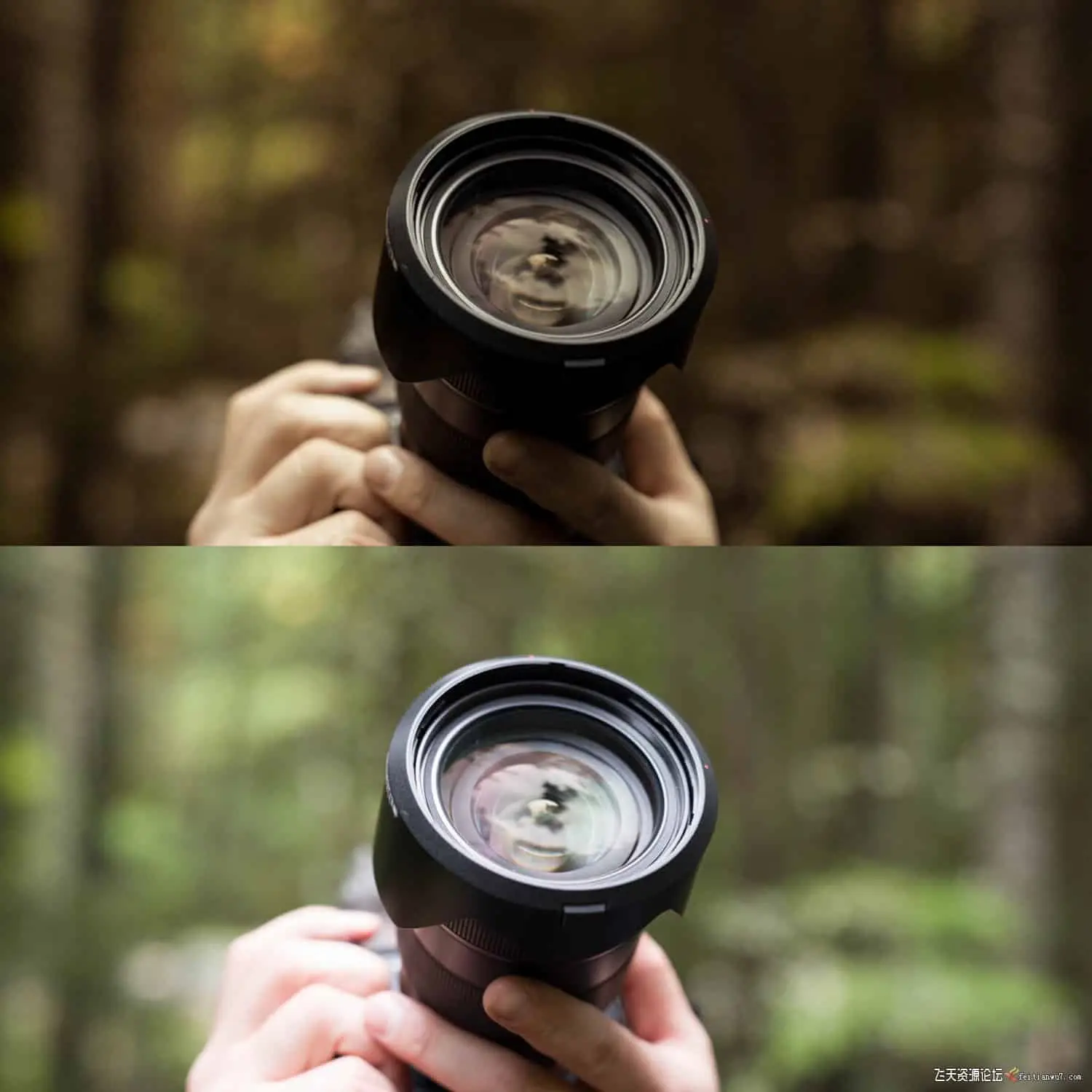 015645ezicn9br8rienczi