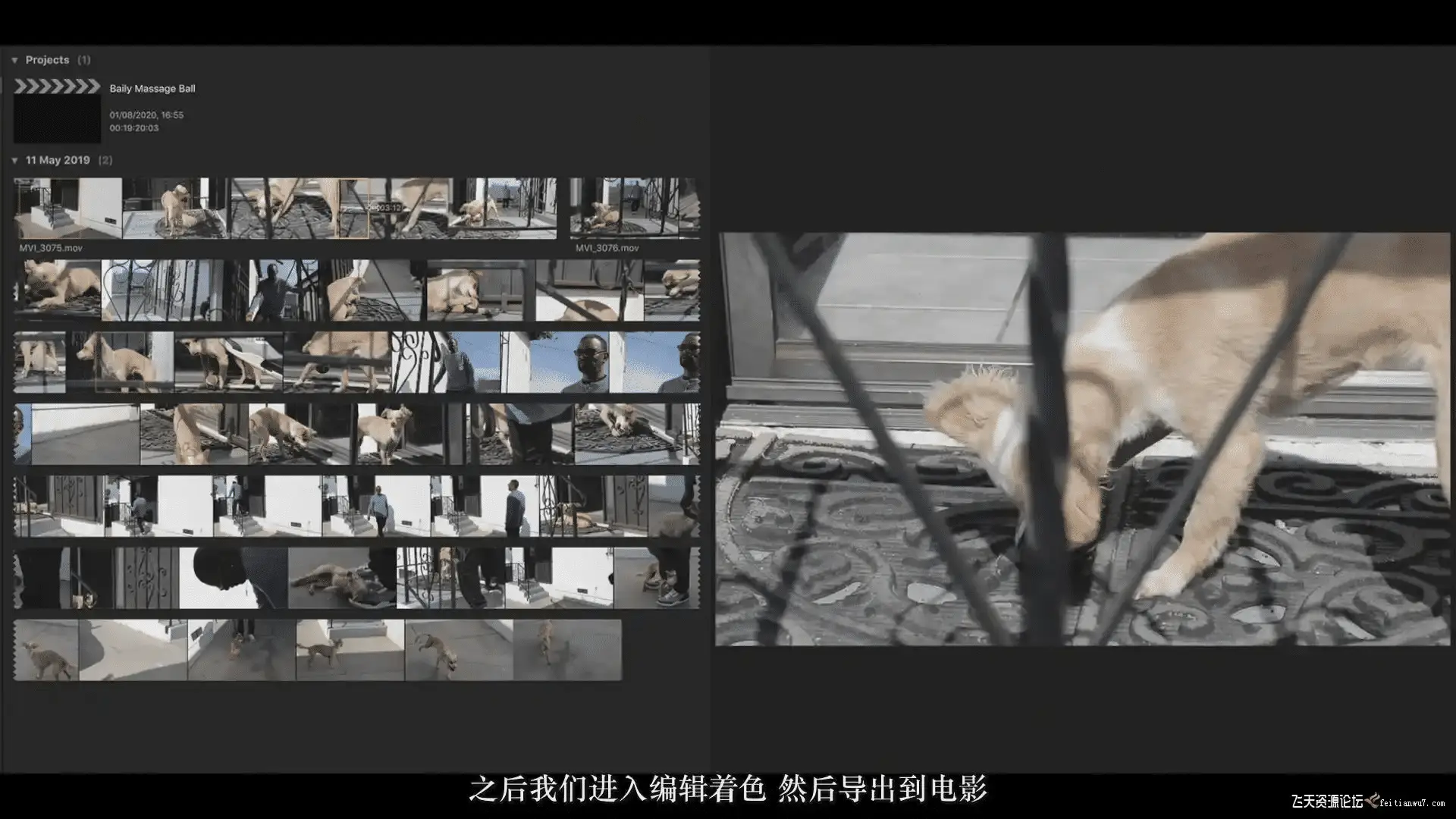 62bed860 ba72 454d 98d7 3d5431774ddf