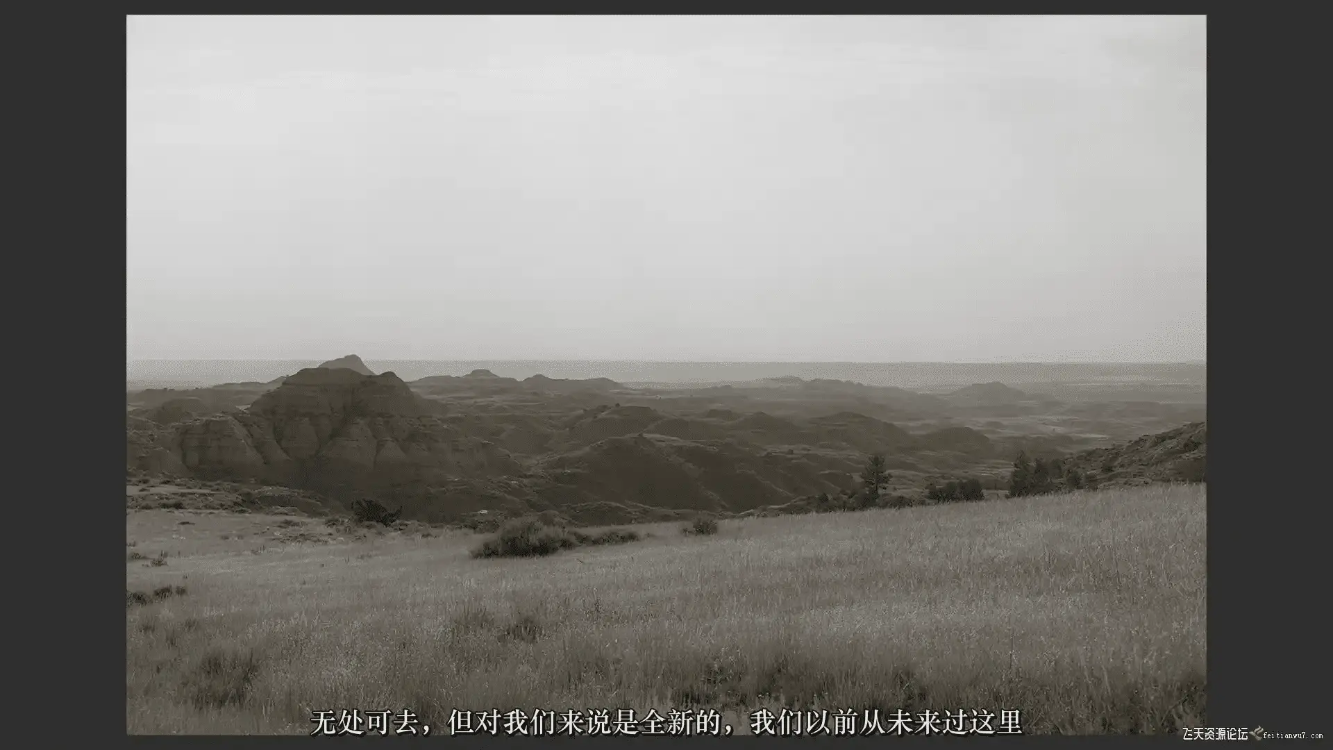 d49fc447 d416 43e1 a55e b656d4ec6e6c