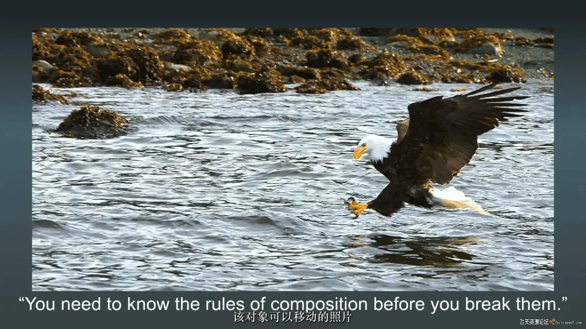 3f4895fd 1c1c 4425 9835 6c7bbf4cc562