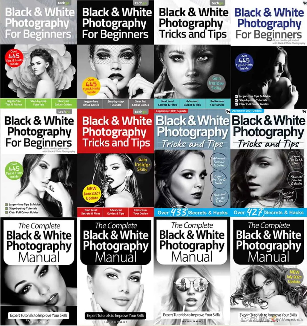 黑白摄影完整手册,摄影和技巧,适合初学者 - 2021 年全年系列