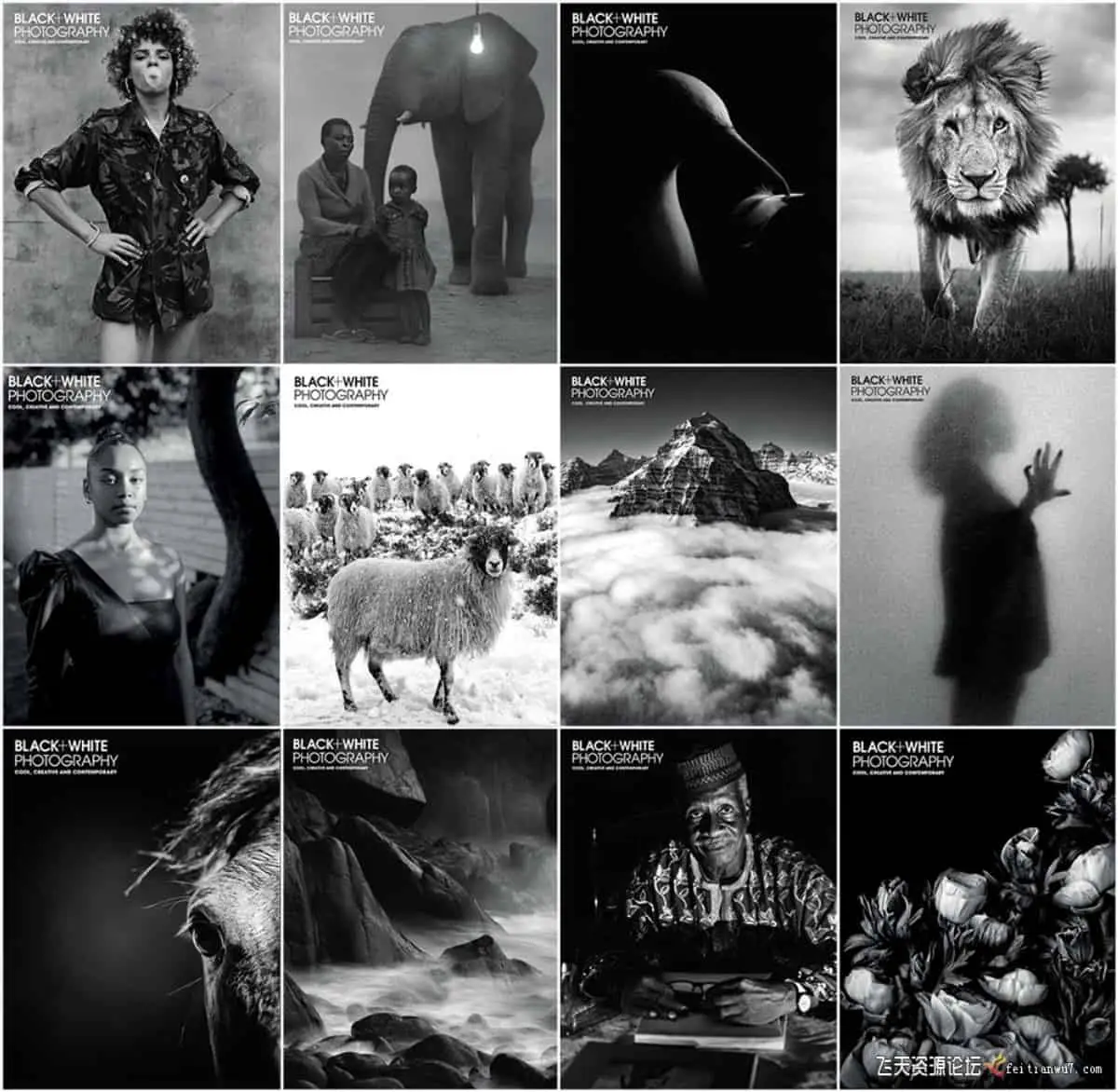 黑白摄影-2021年全年系列12期 Black White Photography Full Year 2021