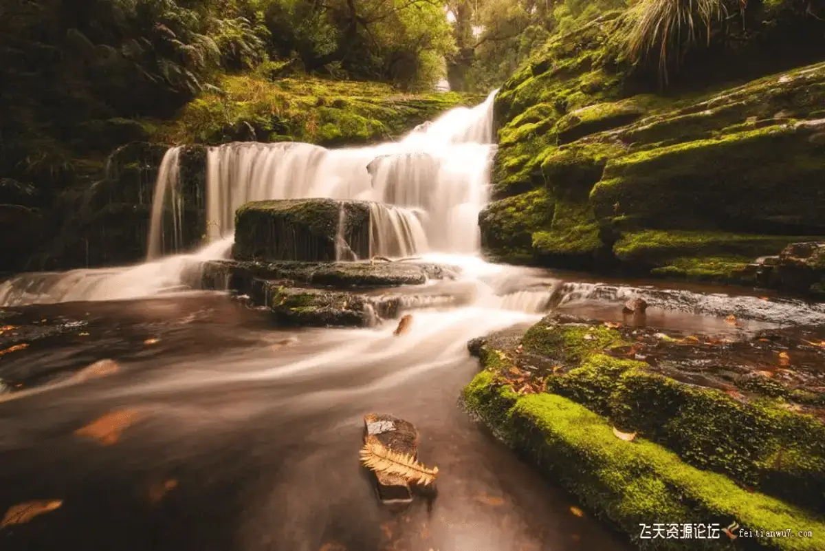 29391051 1301 4a23 baf6 333d59400584