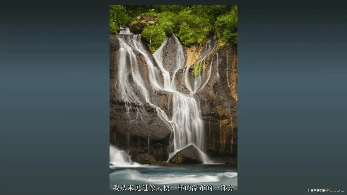 f8650d0b 7012 49e5 9cb2 56b27b333e86