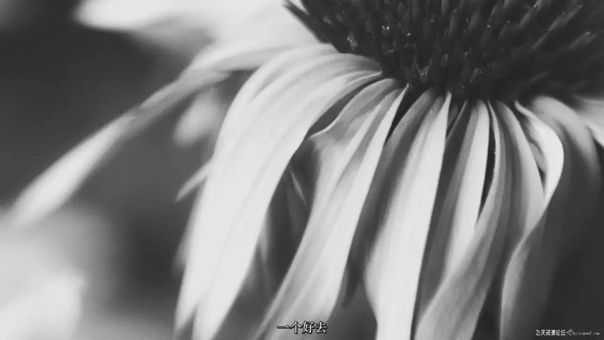 04d4b7e9 aeb0 4a3c b328 e292d2493eb0