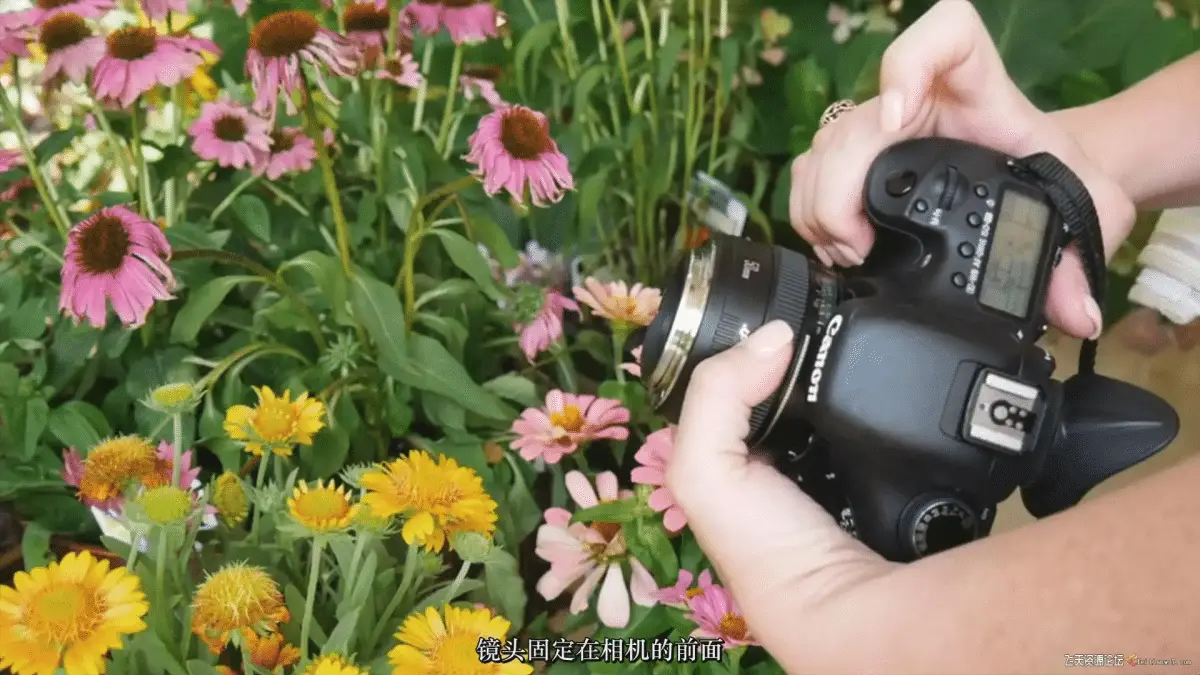 4b1d5f0a ef7b 4fea b522 f1c162665226