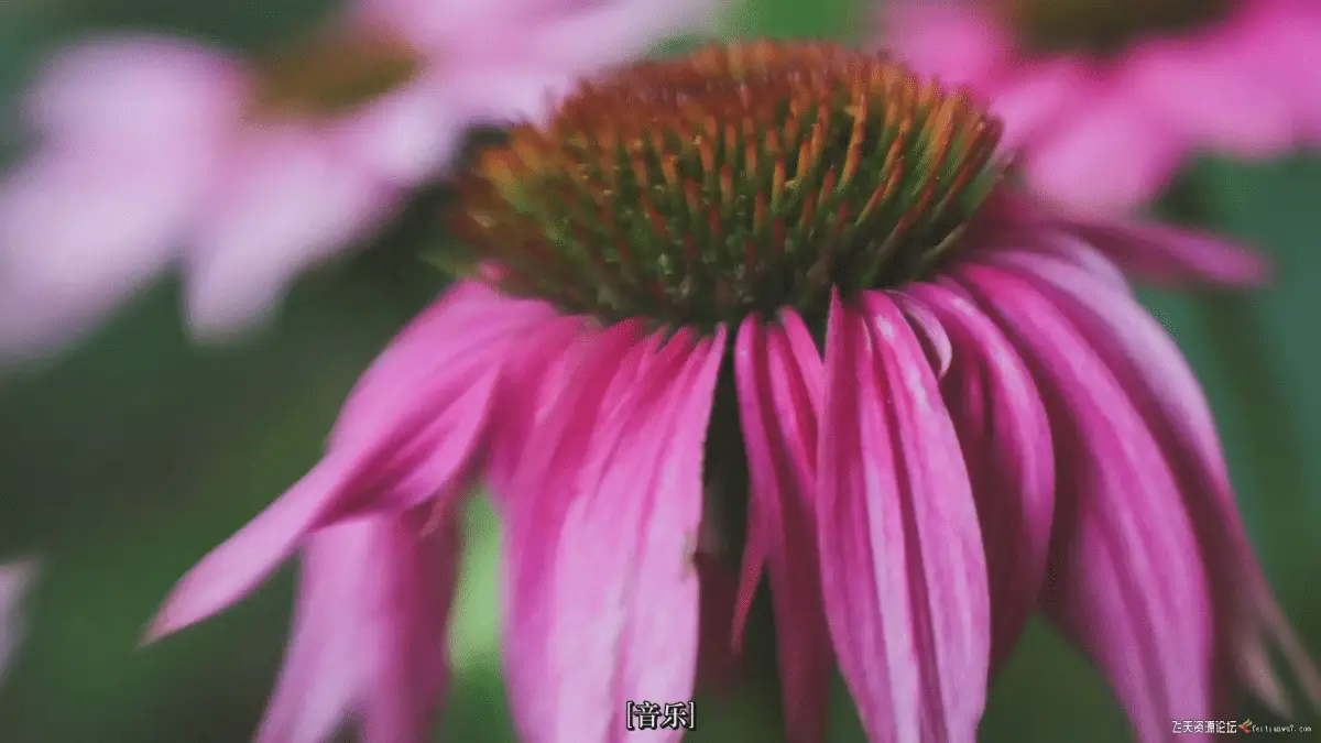 97e86672 8c02 487c be1c c39976584be1