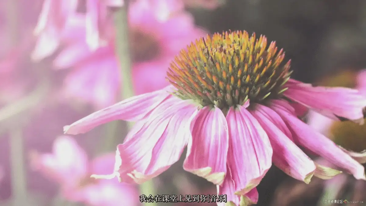 1b1c68cd 20ad 451b ac9b 366458b5d4a0