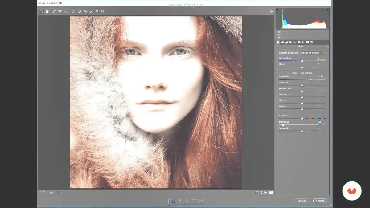 d5f92e04 a309 412f a163 b443f9b95a5c