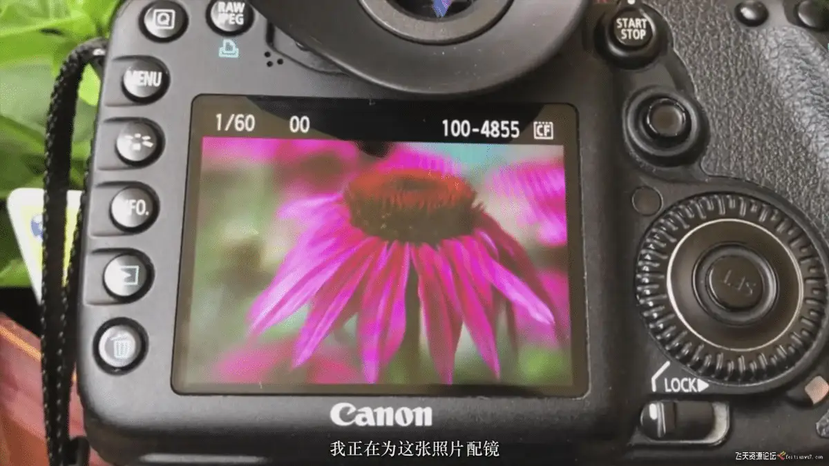 7796d386 c5a6 4636 ada6 b4652c352834