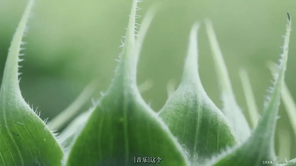 6ec294ce 1545 4911 aede 35aaa66a3199