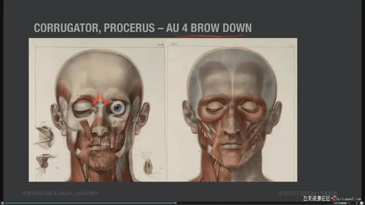 7ed9a696 5421 4875 a324 fdc3f49a4034