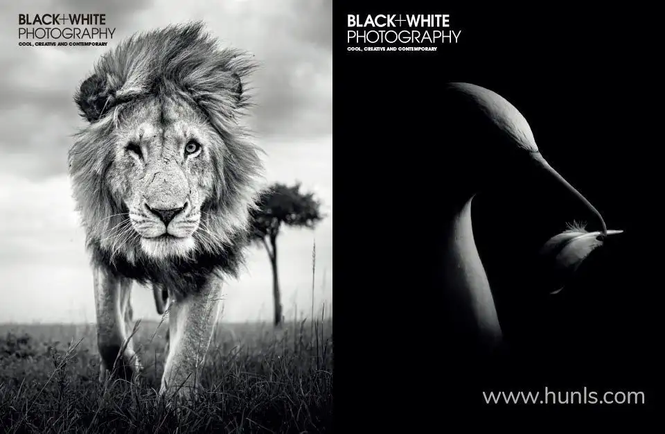 w982py3n676l4kzc (5)