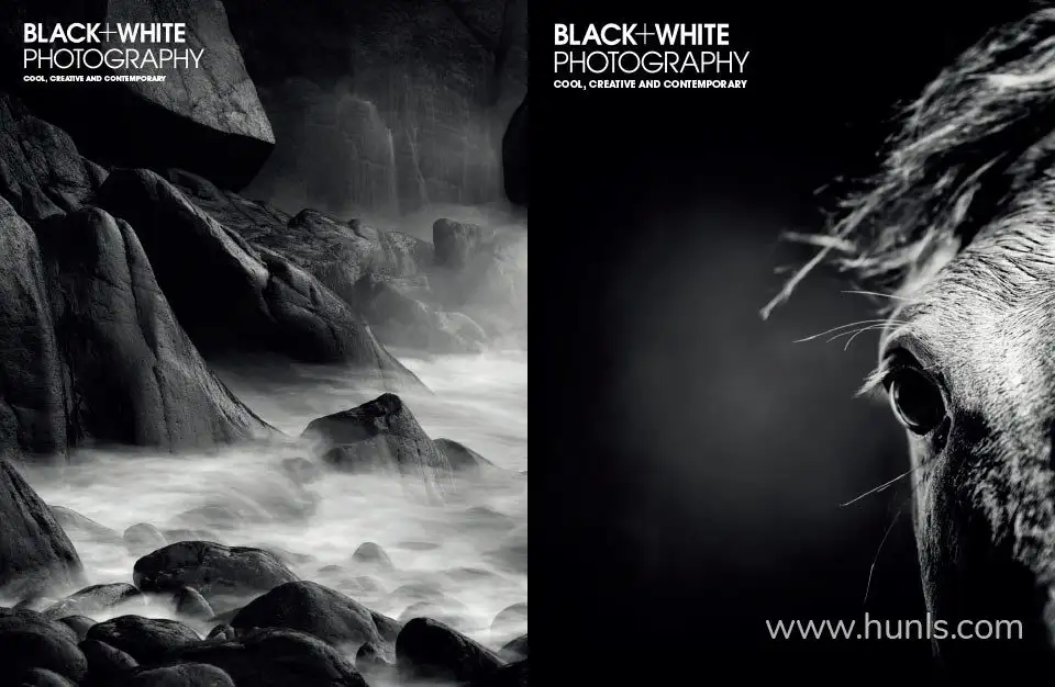 w982py3n676l4kzc (2)