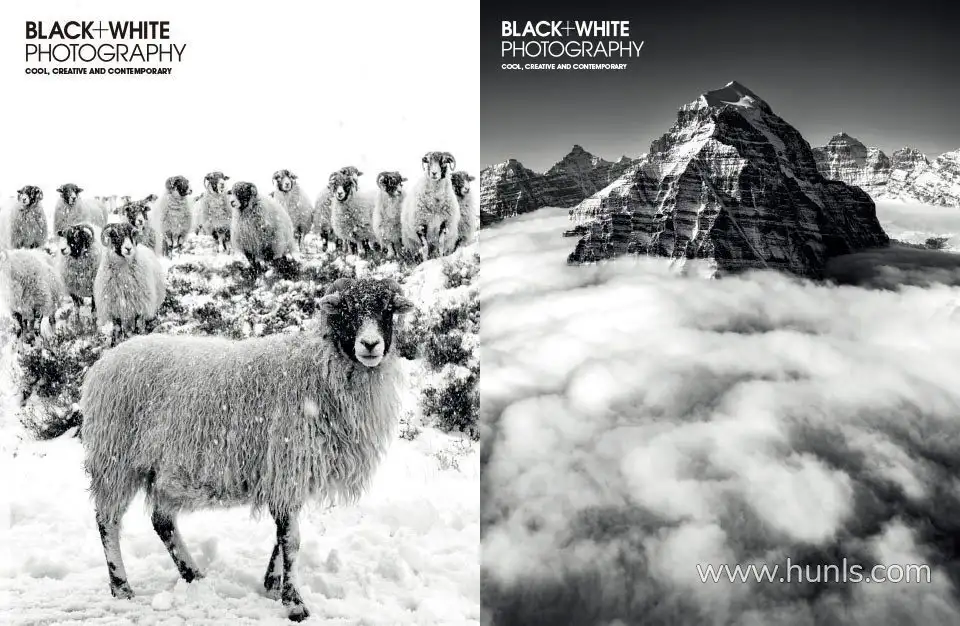 w982py3n676l4kzc (3)