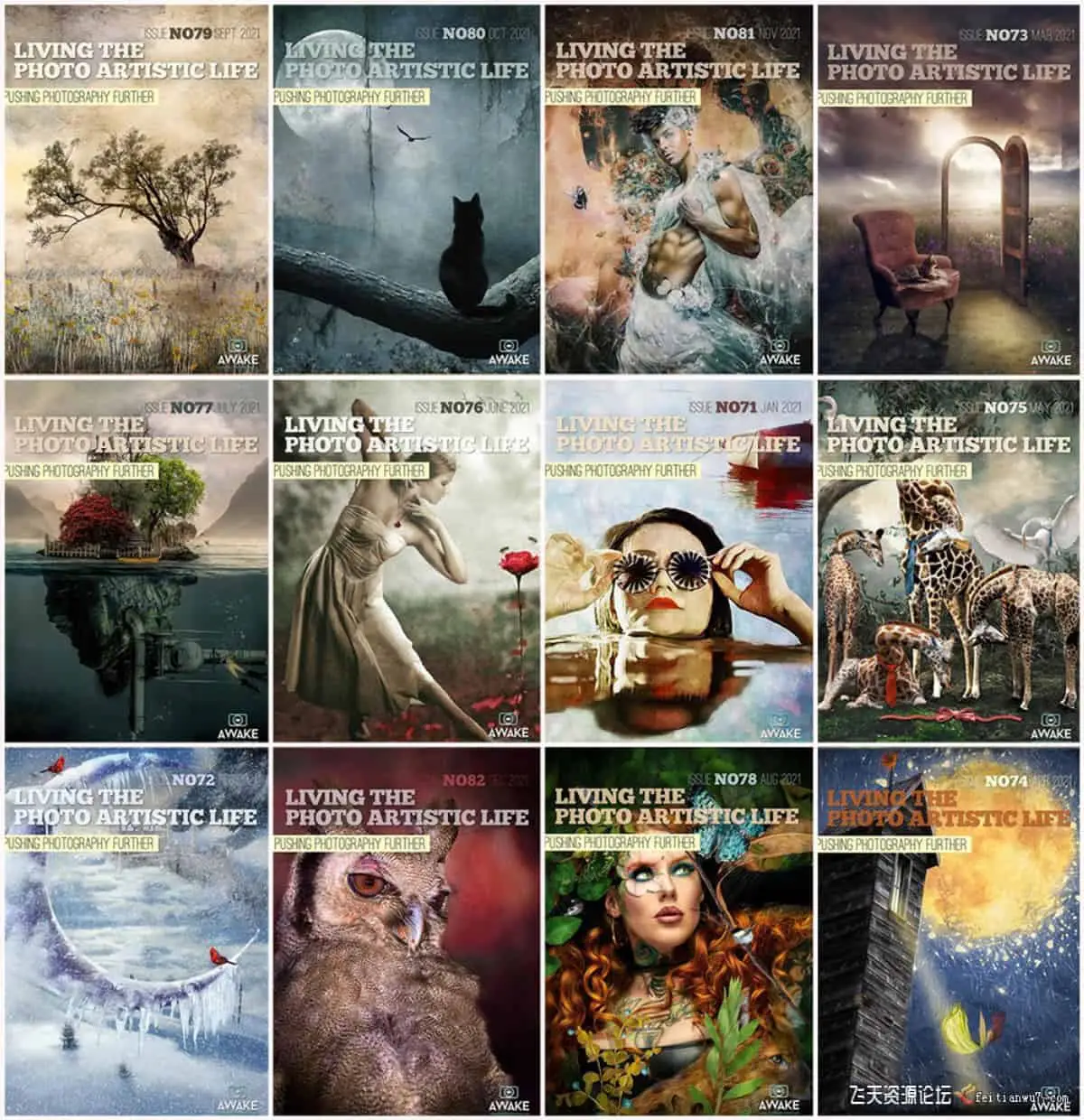 过上摄影艺术生活2021年全年1-12期Living the Photo Artistic Life 2021