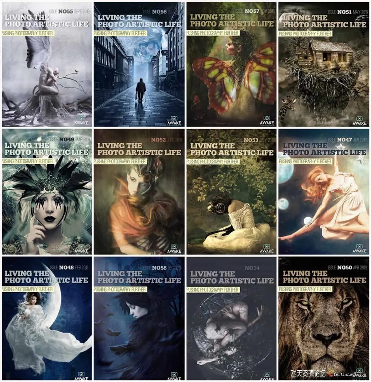 过上摄影艺术生活-2019年全年1-12期 Living the Photo Artistic Life 2019