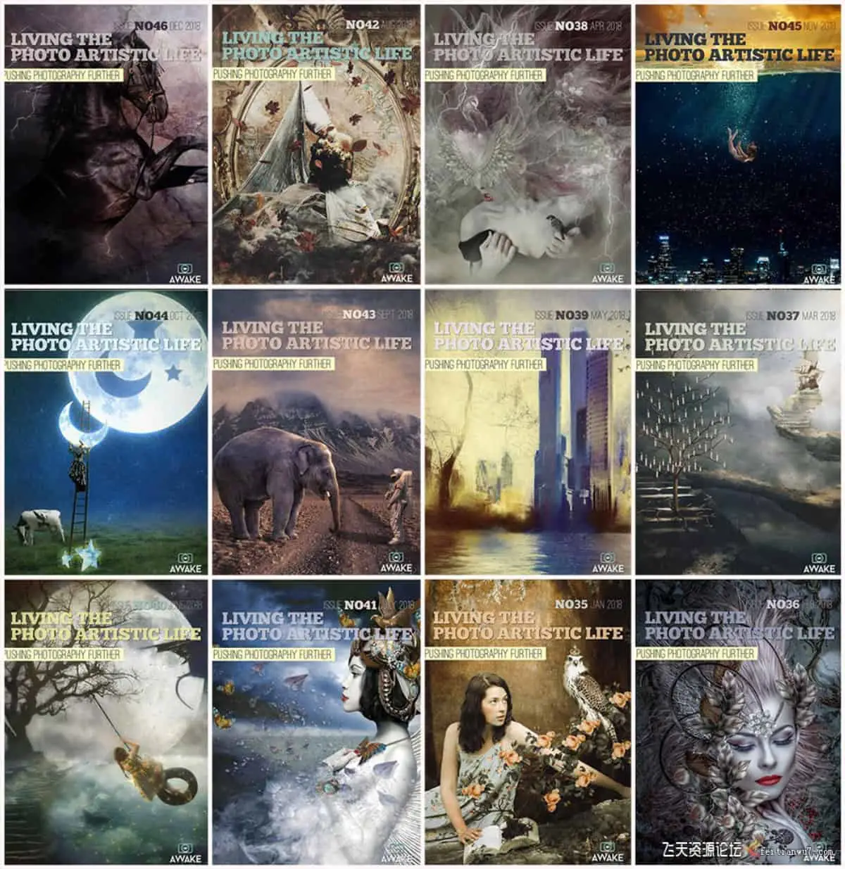 过上摄影艺术生活-2018年全年1-12期 Living the Photo Artistic Life 2018