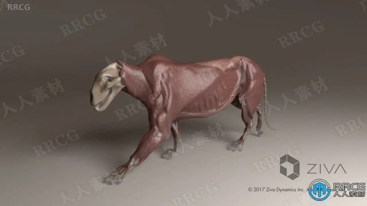 104036mnkj6sj69s476zn4