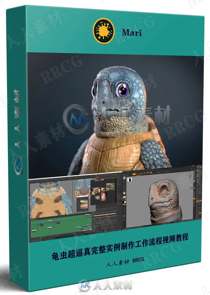龟虫超逼真完整实例制作工作流程视频教程