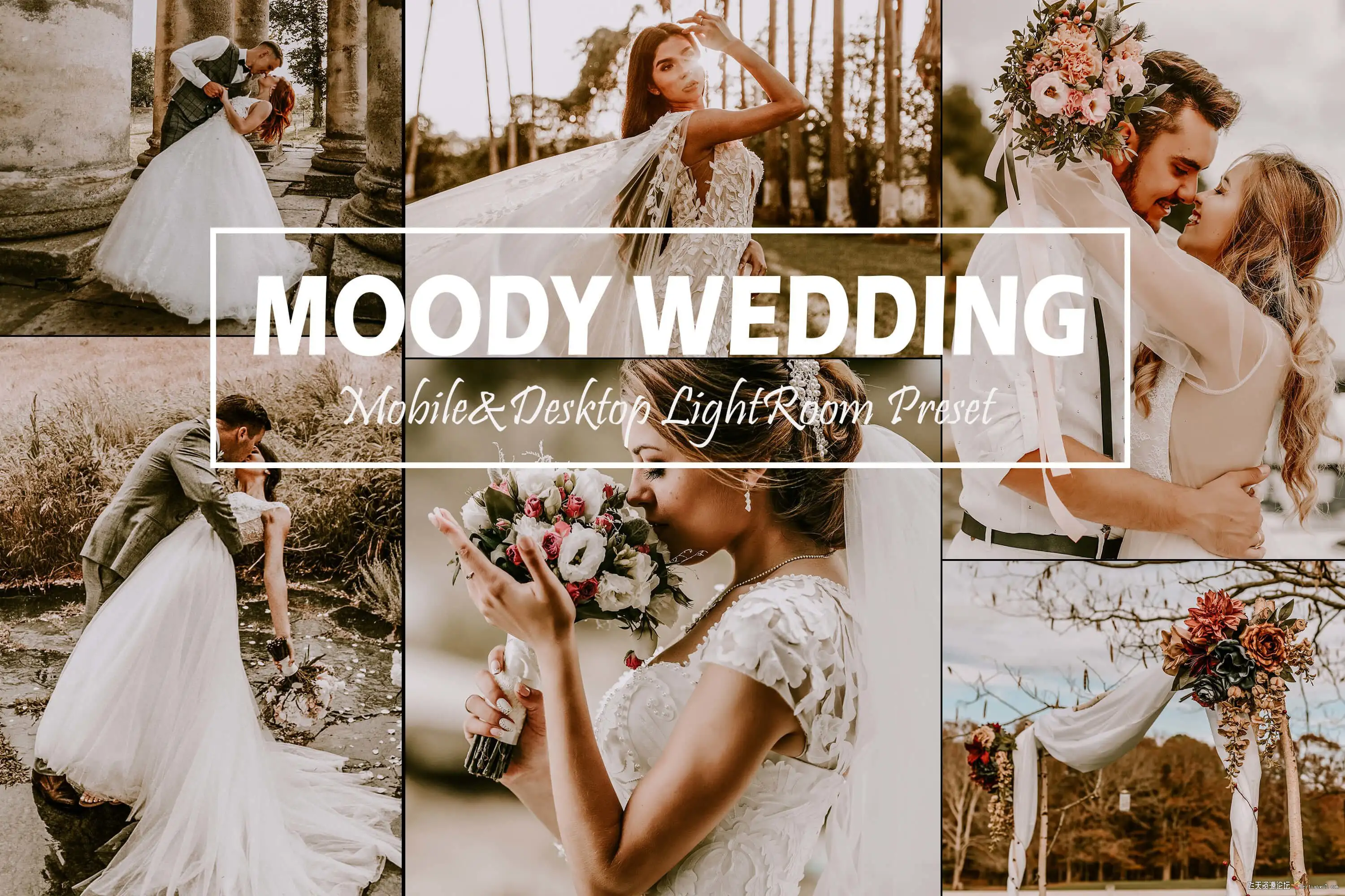 旅拍婚礼婚纱情绪复古胶片LR预设/APP预设Moody Wedding Lightroom Presets