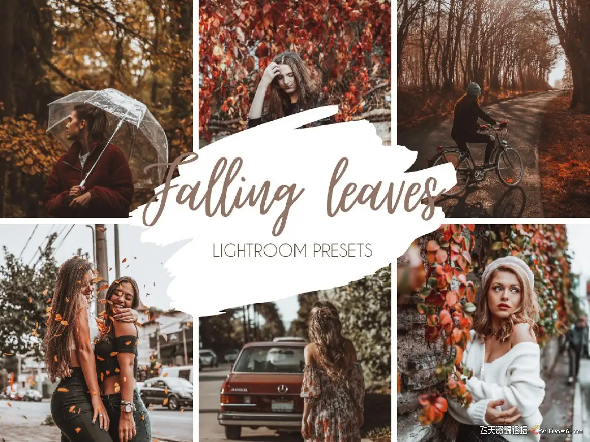 秋季色彩旅拍人像免费LR预设/手机APP滤镜Falling Leaves Lightroom Presets