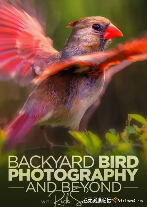 【中英字幕】摄影师Rick Sammon在任何地点拍摄鸟类摄影教程