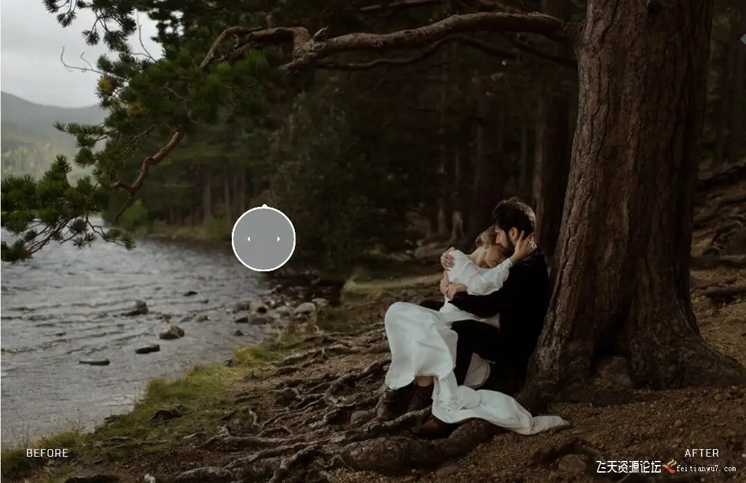 215545aglcxzngn8eynenl