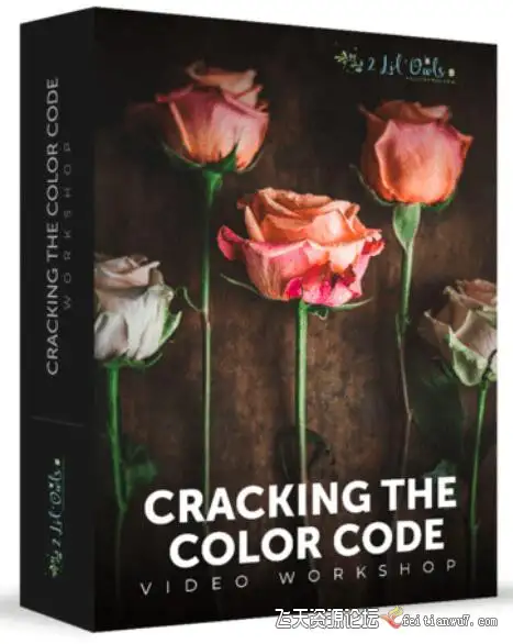 Lenslab静物花卉产品摄影掌握色彩突破艺术界限研讨会中文字幕