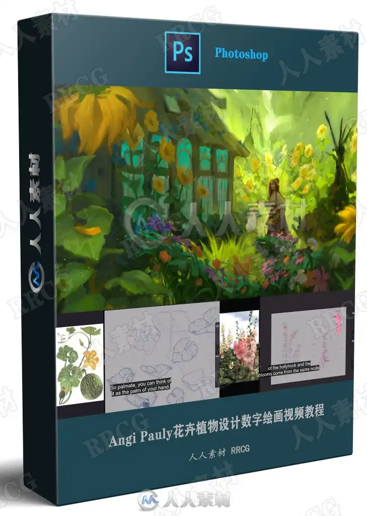 Angi Pauly花卉植物设计数字绘画视频教程