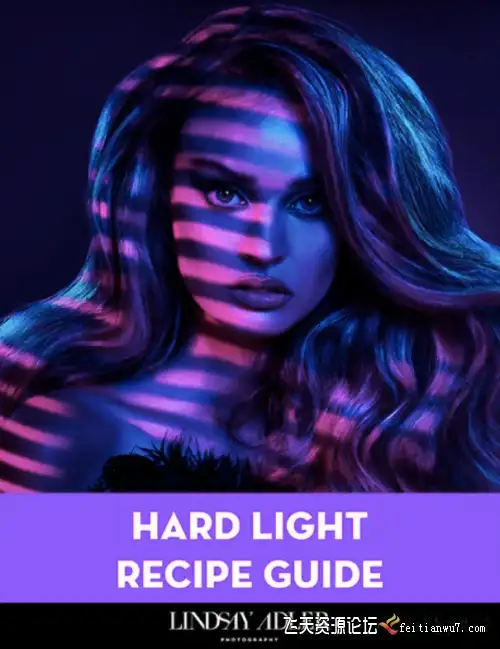 Lindsay Adler -摄影当中的硬光源布光完整指南电子书教程