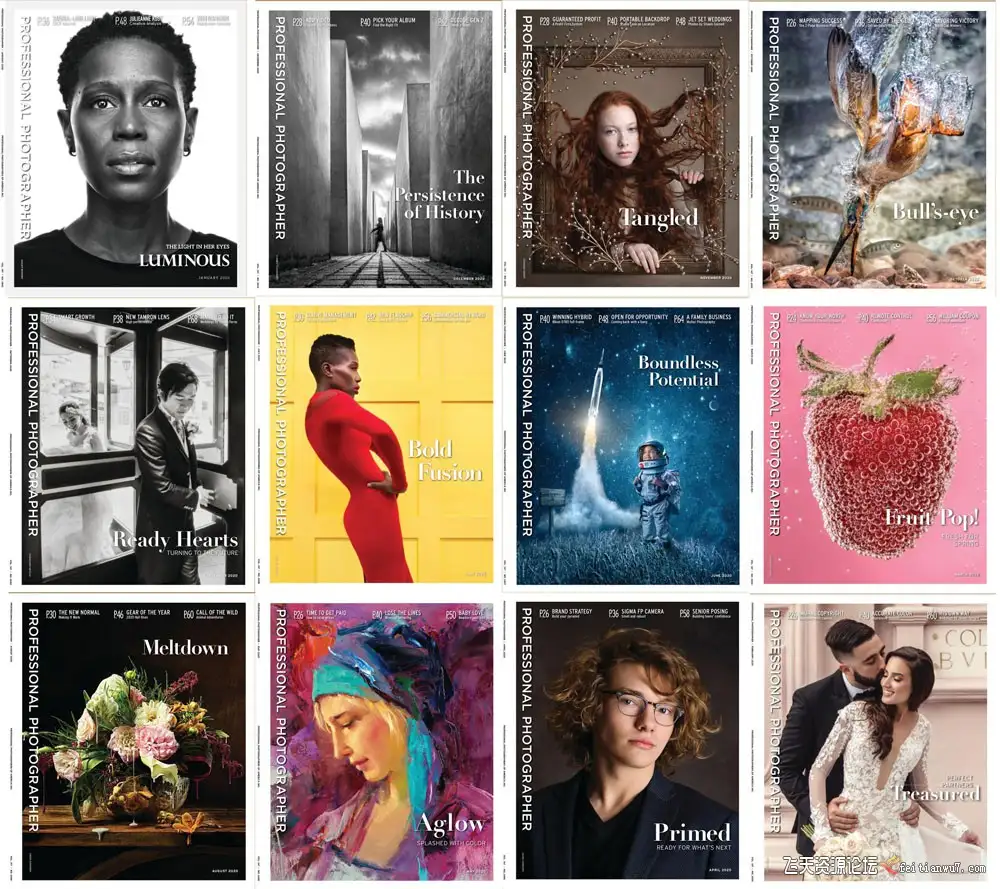 《美国专业摄影师》2020年全年1-12期PDF珍藏版