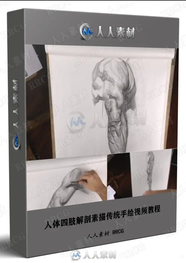 人体四肢解剖素描传统手绘视频教程