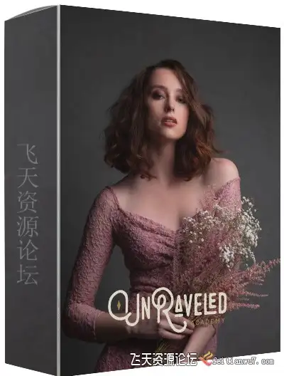 达娜·科尔(Dana Cole)工作室棚拍肖像画艺术人像布光教程中文字幕