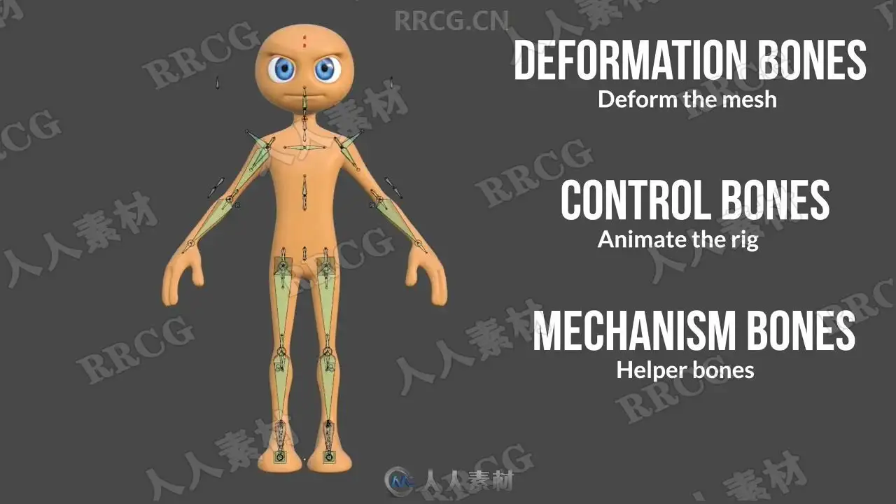 Blender骨骼绑定动画核心技术训练视频教程