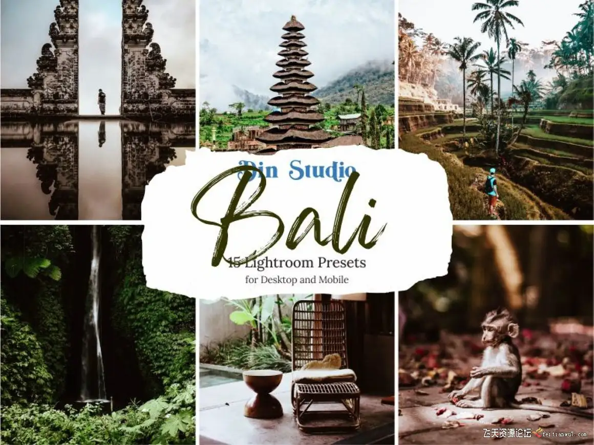 巴厘岛旅拍人文Lightroom预设/APP滤镜Bali Lightroom Presets