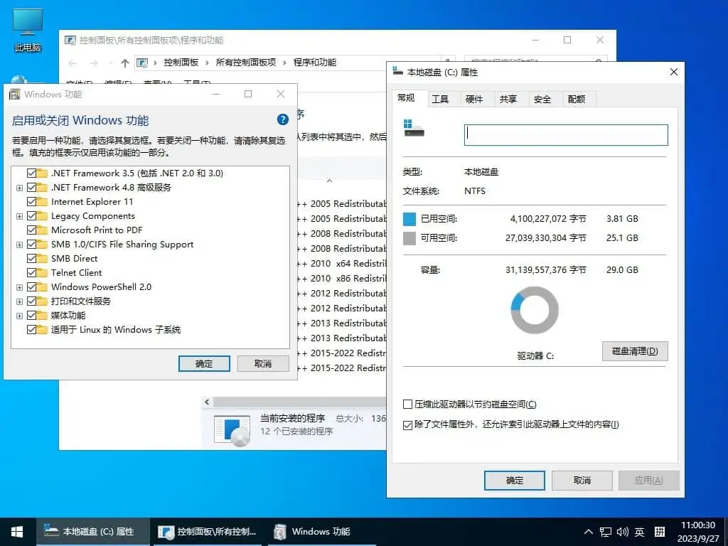 XXWindows10LTSC2019SDJJ